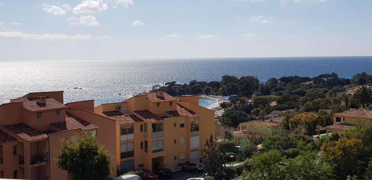 T1 Vue Mer Bord De Mer Ajaccio Аячо Екстериор снимка